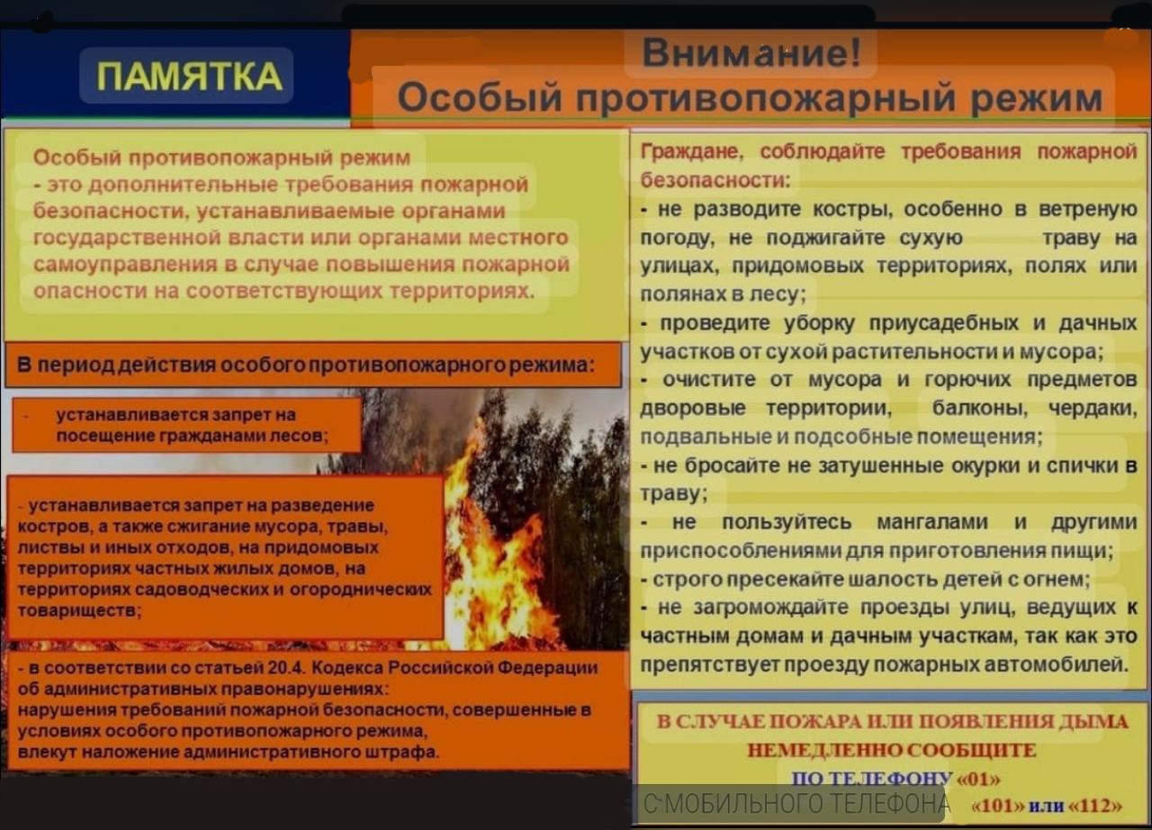 Введен особый противопожарный режим.
