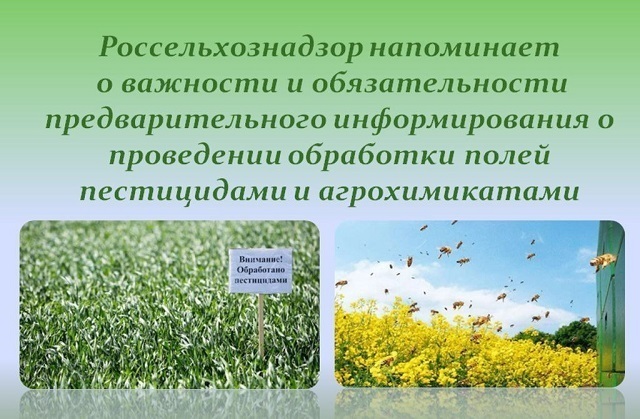 Важные правила для пчеловодов и аграриев в период применения пестицидов. Важные правила для пчеловодов и аграриев в период применения пестицидов.